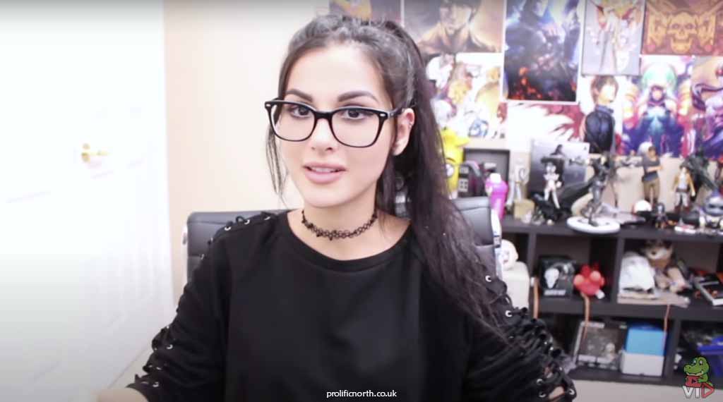 About SSSniperWolf