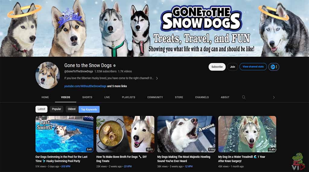 Gone to the Snow Dogs - Pet YouTube Channel Ideas (With 13 Examples)
