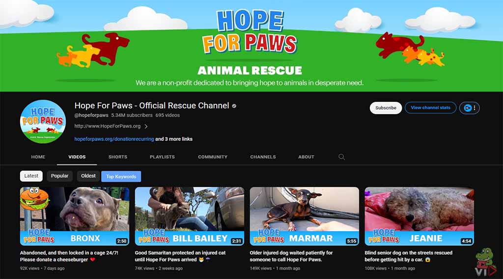 Hope for Paws - Pet YouTube Channel Ideas (With 13 Examples)