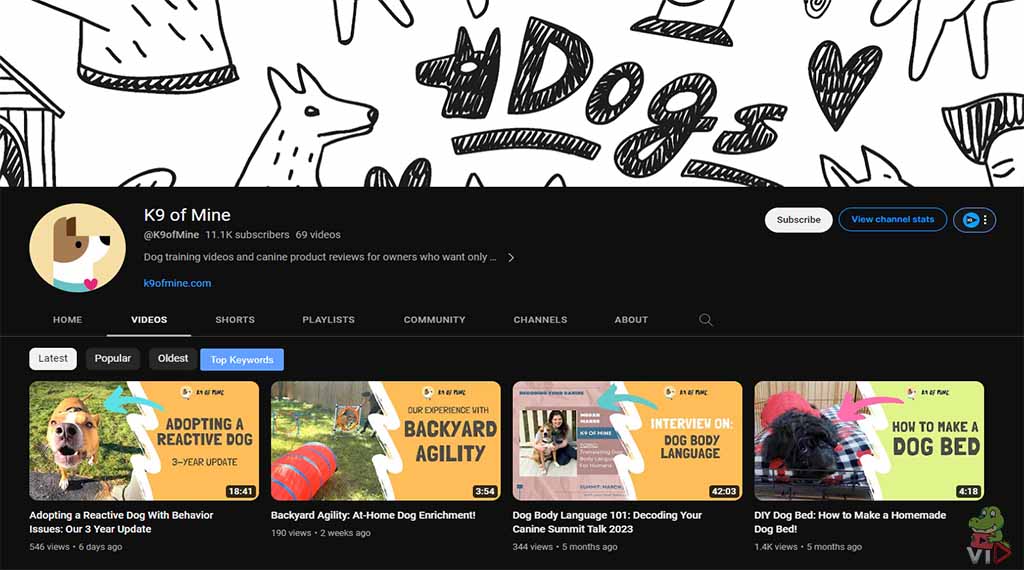 K9 of Mine - Pet YouTube Channel Ideas (With 13 Examples) - Pet YouTube Channel Ideas (With 13 Examples)