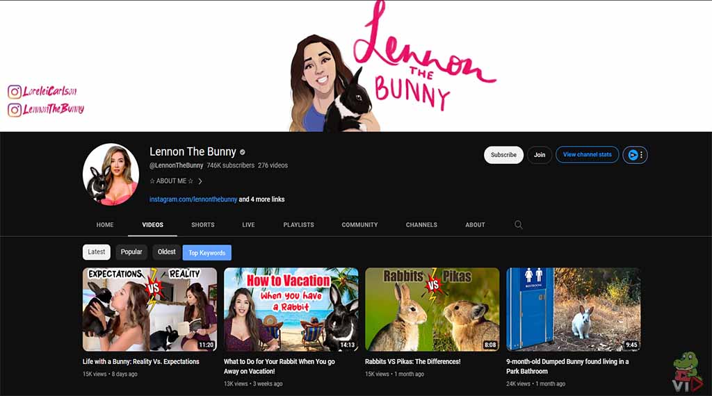 Lennon the Bunny - Pet YouTube Channel Ideas (With 13 Examples)