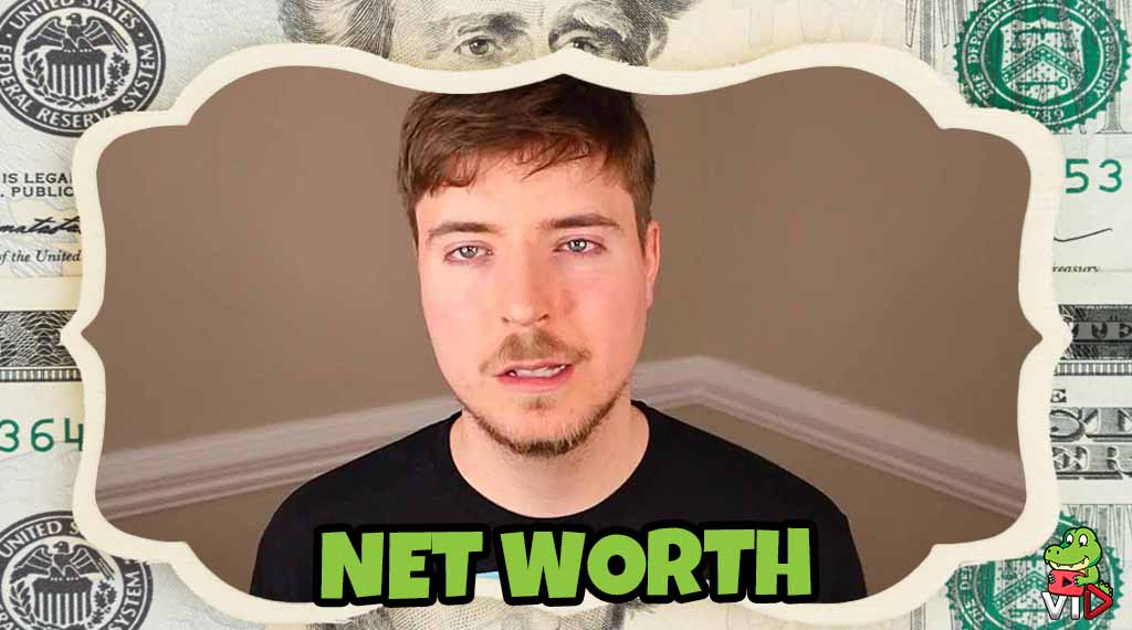 MrBeast Net Worth & Earnings - Vid Gators