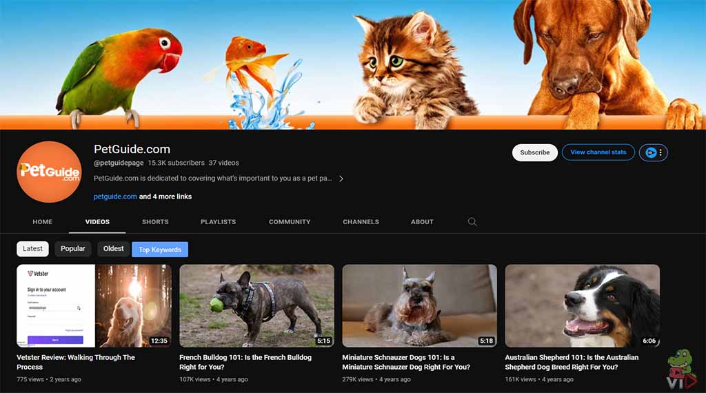 PetGuide.com - Pet YouTube Channel Ideas (With 13 Examples)