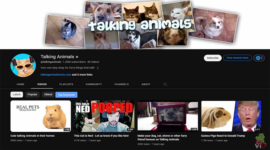 Talking Animals - Pet YouTube Channel Ideas (With 13 Examples)