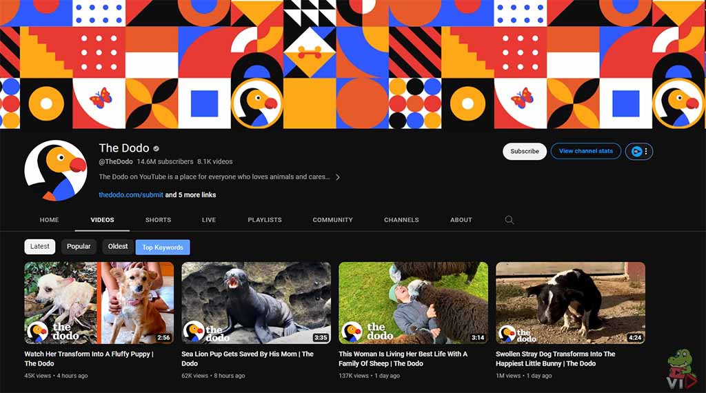 The Dodo (Pet YouTube Channel Ideas Top Example) - Pet YouTube Channel Ideas (With 13 Examples)