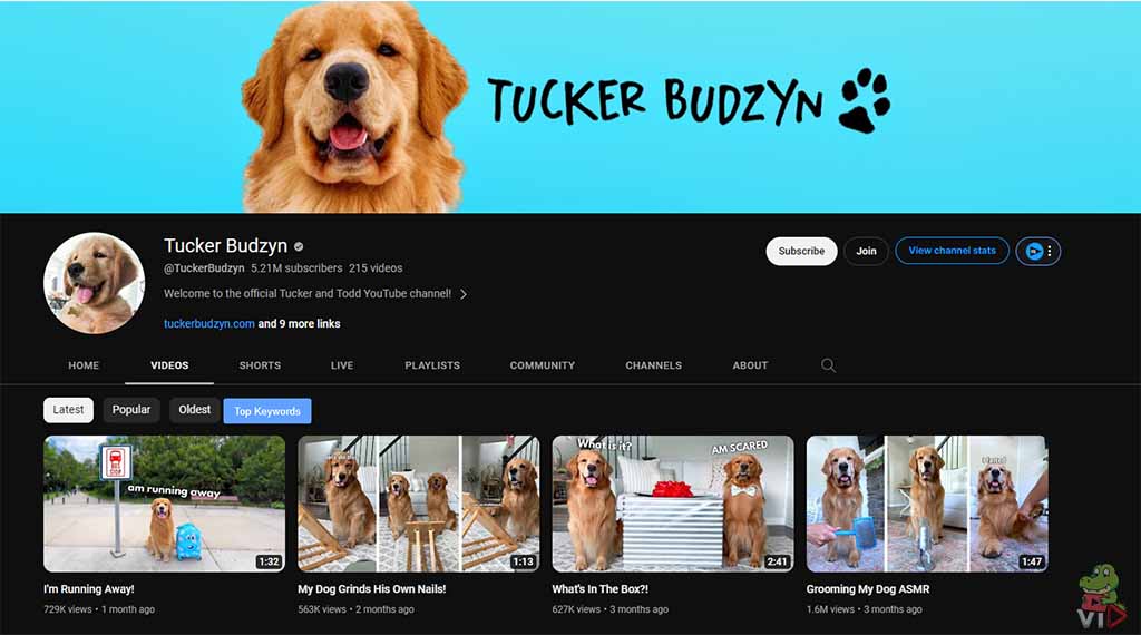 Tucker Budzyn - Pet YouTube Channel Ideas (With 13 Examples)