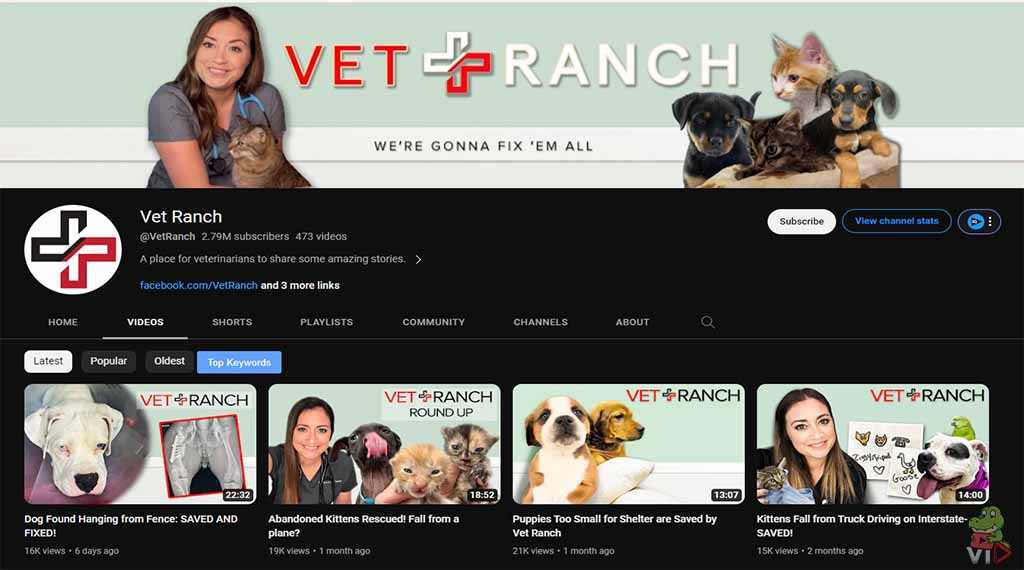 Vet Ranch - Pet YouTube Channel Ideas (With 13 Examples)